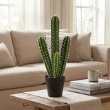 Homcom Kunstpflanze Säulenkaktus Fake Plant wie echt im Kunststofftopf Kaktus, HOMCOM, Höhe 53 cm, für Zuhause, Büro, Einweihungsgeschenke, Dekoration grün