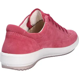 Legero Tanaro 5.0 Dark Raspberry 37,5