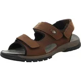 WALDLÄUFER Harald Herren Braun 44