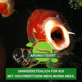 Kenkou Koi Futter Nr.1 Edition 5+10 mm 5 kg