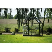 Juliana Icon 6 Alu Schwarz Blankglas 3 mm 2,5 m2