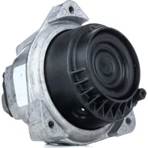 CORTECO Lagerung, Motor