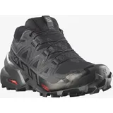 Salomon Speedcross 6 Gore-Tex Damen Black/Phantom 42 2/3