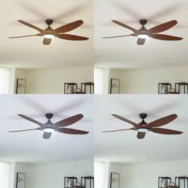 LUCANDE Omendo 152 cm Deckenventilator Schwarz