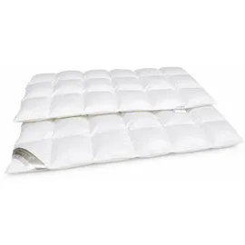 Betten Hofmann Sibiria exclusiv Daunendecke Daunenbett 6x8 155x220 sibirische Wildgans - Weiß