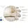 Home Affaire Ecksofa HOME AFFAIRE "Pinto, XXL, 250/290 cm, langer Schenkel, Ottomane", beige (cream), B:290cm H:85cm T:250cm, 92% Polyester, 8% Nylon, Sofas, Ecksofa, Cord, Chenille, Lederoptik, mit Keder, Metallfüße, Wellenunterfederung, Topseller