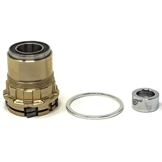 Wahoo Fitness Wahoo Kickr Sram XD/XDR Freilaufritzel-Rad