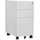 vidaXL Aktenschrank 30x45x59 cm grau