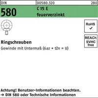 F. REYHER Nchfg. GmbH & Co. KG Ringschraube DIN 580 M16 C 15 E feuerverzinkt 10 Stück