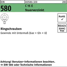 F. REYHER Nchfg. GmbH & Co. KG Ringschraube DIN 580 M16 C 15 E feuerverzinkt 10 Stück