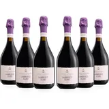 Castelli Modenesi Lambrusco Scuro Amabile Emilia IGT, Rotwein mit vollem und ausgewogenem Geschmack, 8 Prozent Vol., 6 Flaschen 750 ml