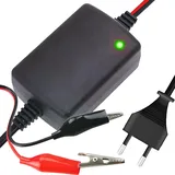 Retoo Batterieladegerät 12V 1.5A Gel Batterie KFZ Ladegerät für Oldtimer, Motorrad, Roller, Rasenmäher, Boote, LKW, PKW, Wohnwagen, Autobatterie und Motorradbatterie Ladegeräte, Ladekabel 1.3 M