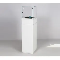 Exponat Vitrine Haubenvitrine abschließbar Dialog 41K