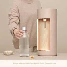 Wassersprudler-Flasche 1 L Transparent/silber