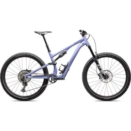 Specialized Stumpjumper 2025 29 Zoll RH Unisex powder indigo/smoke