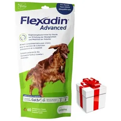 VETOQUINOL Flexadin Advanced 60 Snack + Überraschung für den Hund