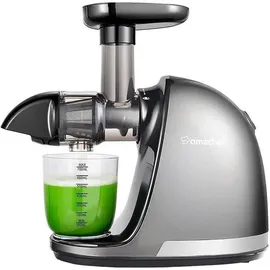 amzchef 1501-GA Slow Juicer Grau
