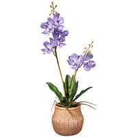 HTT Decorations - künstliche Orchidee - Orchidee - in rosa - 53 - Deko - Zimmerpflanze