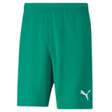Puma Teamrise Shorts Grün 176