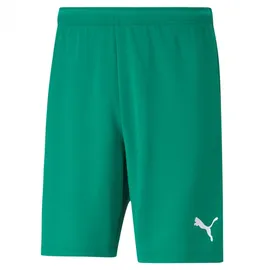 Puma Teamrise Shorts Grün 176
