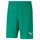 Puma Teamrise Shorts Grün 176