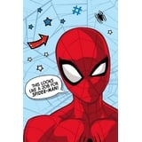 Jerry Fabrics Spiderman Flauschdecke Schmusedecke Kuscheldecke 100 x 150 cm