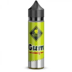 Gum Minzig 20ml Longfill Aroma by BangJuice