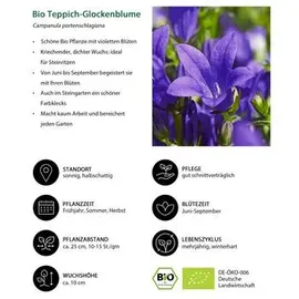 Dehner Bio Stauden-Set 12-teilig, Rosa, Weiß