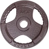 Sport-Thieme, Hantelscheiben, (1 x 10 kg)
