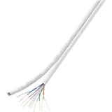 TRU Components Netzwerkkabel U/UTP 8 x 2 x 0.196mm2 Weiß 100 m