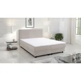 Küchen-Preisbombe Glenn 140 x 200 cm Beige