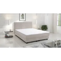 Küchen-Preisbombe Glenn 140 x 200 cm Beige