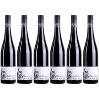 6x Dornfelder Trocken, 2020 - Weingut Heinrich Immich-Anker, Mosel! Wein