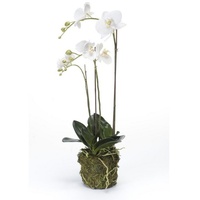 Emerald Künstliche Phalaenopsis-Orchidee Weiß 70 cm