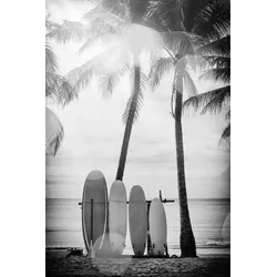 Acrylglasbild QUEENCE "Surfboards", schwarz (farbe bild(er): schwarz), B:60cm H:90cm T:2,4cm, Bilder, Fine Art-Print in Galeriequalität