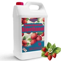 Bioethanol 96,6% 5L | Bio Alkohol Walderdbeerduft 96,6% 5L | Bioethanol für Kamin, Tischkamin | Bioethanol Walderdbeerduft | Saubere Verbrennung, ...