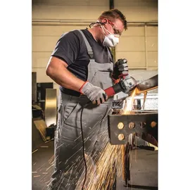 Flex L 13-10 125-EC + FixTec Mutter