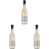 Gran Passione BIANCO VENETO IGT – Weißwein aus Garganega & Chardonnay – Frisch, Blumig, Fruchtig & Cremig – Noten von Vanille, Weißen Blüten & Reifer Frucht – 12,5% vol – 750 ml (Packung mit 3)