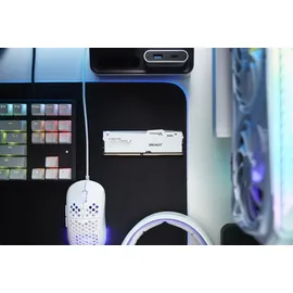 Kingston FURY Beast RGB - DDR5 - Kit - 32 GB: 2 x 16GB, 5600 MHz, DDR5-RAM, DIMM), RAM, Weiss