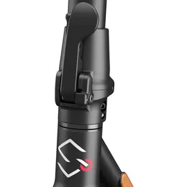 Sharp E-Scooter EM-KS3CDE-B mit Straßenzulassung: (ABE-) - Schwarz