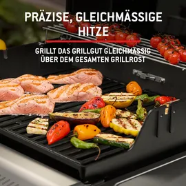 Weber Spirit E-325 GBS schwarz 1500895