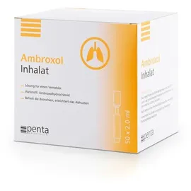 Penta Arzneimittel GmbH Ambroxol Inhalat