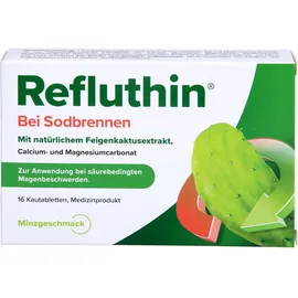 Dr. Willmar Schwabe Refluthin bei Sodbrennen Kautabletten Minze