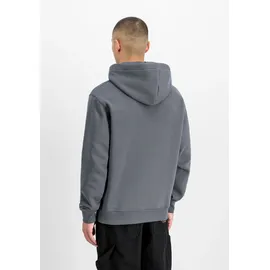 Alpha Industries DTM Alpha Hoodie grau 2