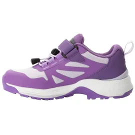Jack Wolfskin Villi Hiker Texapore Low Walking-Schuh, Sea Rose, 39 EU