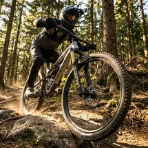 RockShox Domain Gold Isolator RC3 27,5 Zoll 160 mm Schwarz