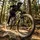 RockShox Domain Gold Isolator RC3 27,5 Zoll 160 mm Schwarz