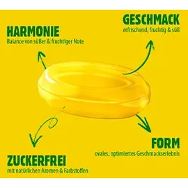 open food VIVIL® Zitronenmelisse ohne Zucker Bonbons 33 St./ 120,0 g