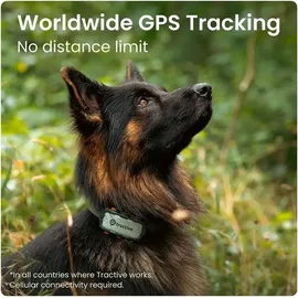 tractive Adventure Dog XL GPS-Lokalisierer Grau One Size