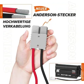litime 29.2V 20A Batterieladegerät für 24V LiFePO4 Lithium Batterie